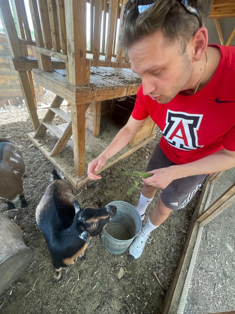 A young man in a red shirt gently feeds a small goat with sprigs of greenery inside a wooden pen, surrounded by a peaceful farm environment.