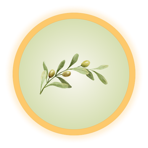 Olive branch with green leaves and olives, symbol of peace and God's promise.