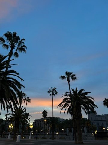 A soft sunset over a quiet cityscape with silhouetted palm trees, a construction crane, and scattered people walking.