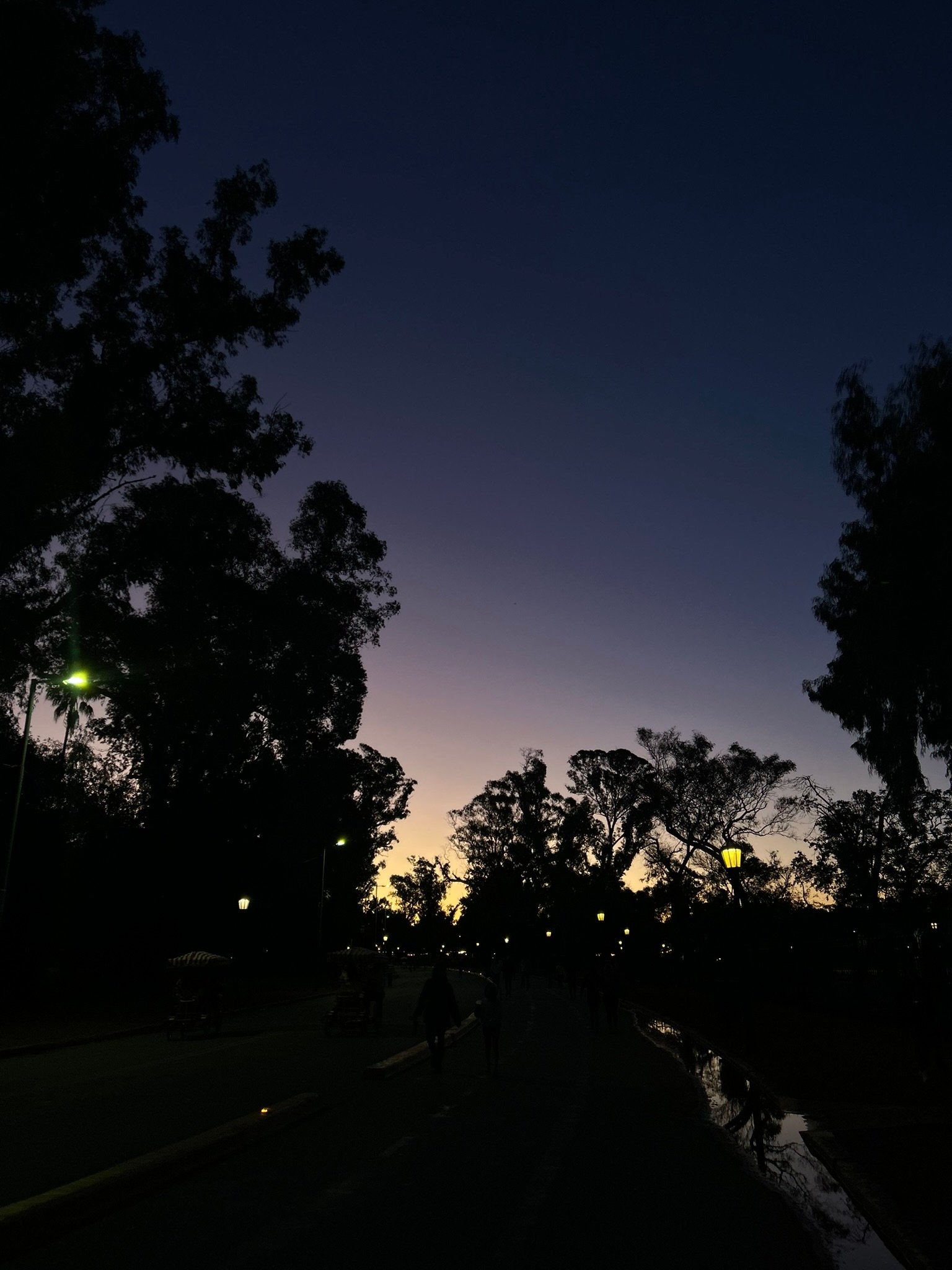 Twilight path lined with trees and lamplights, silhouettes of people walking beneath a deepening sky.