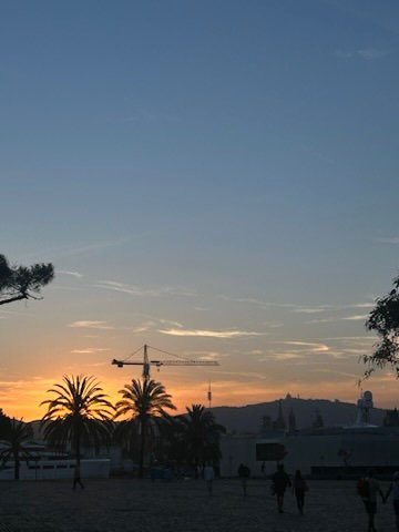 Silhouettes of palm trees, people, and a construction crane against a soft orange and blue sunset sky.