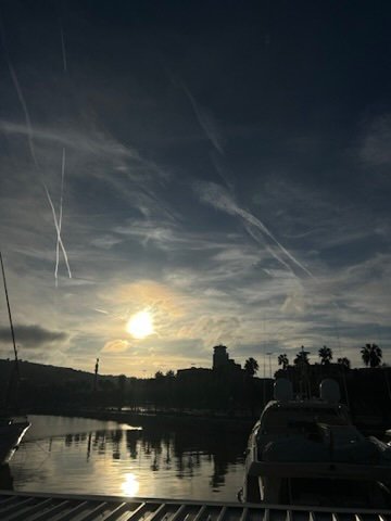 Silhouetted marina at sunrise with boats and palm trees under streaked morning skies