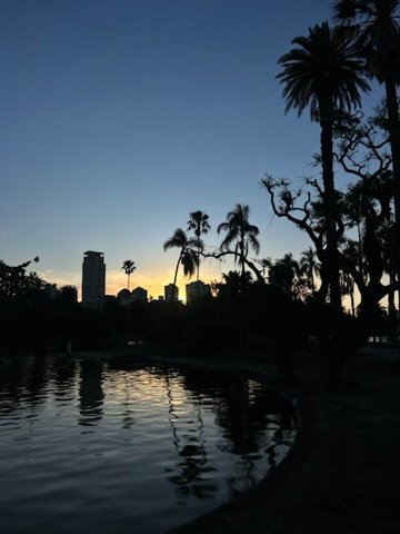 A peaceful park scene at twilight with silhouetted palm trees and city buildings, reflected in the still surface of a pond