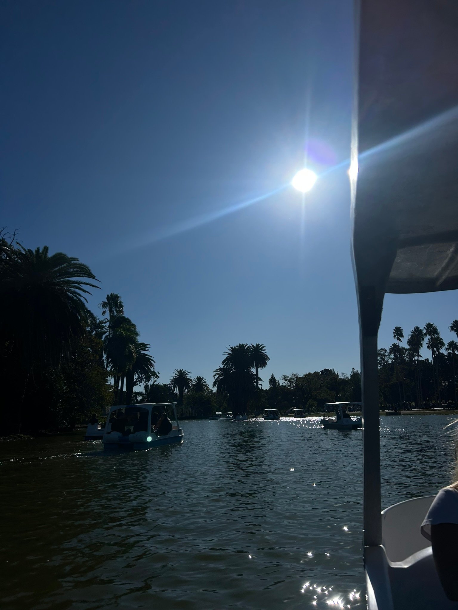 A sunny day on a lake with pedal boats gliding on the water, palm trees lining the background, and the bright sun shining in a clear blue sky