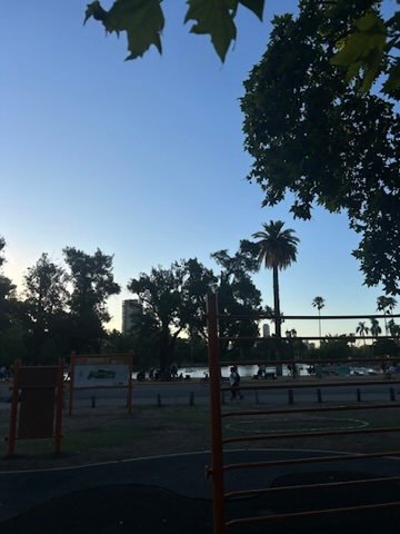 A quiet park scene near dusk with trees, palm silhouettes, workout equipment in the foreground, and a lake in the background
