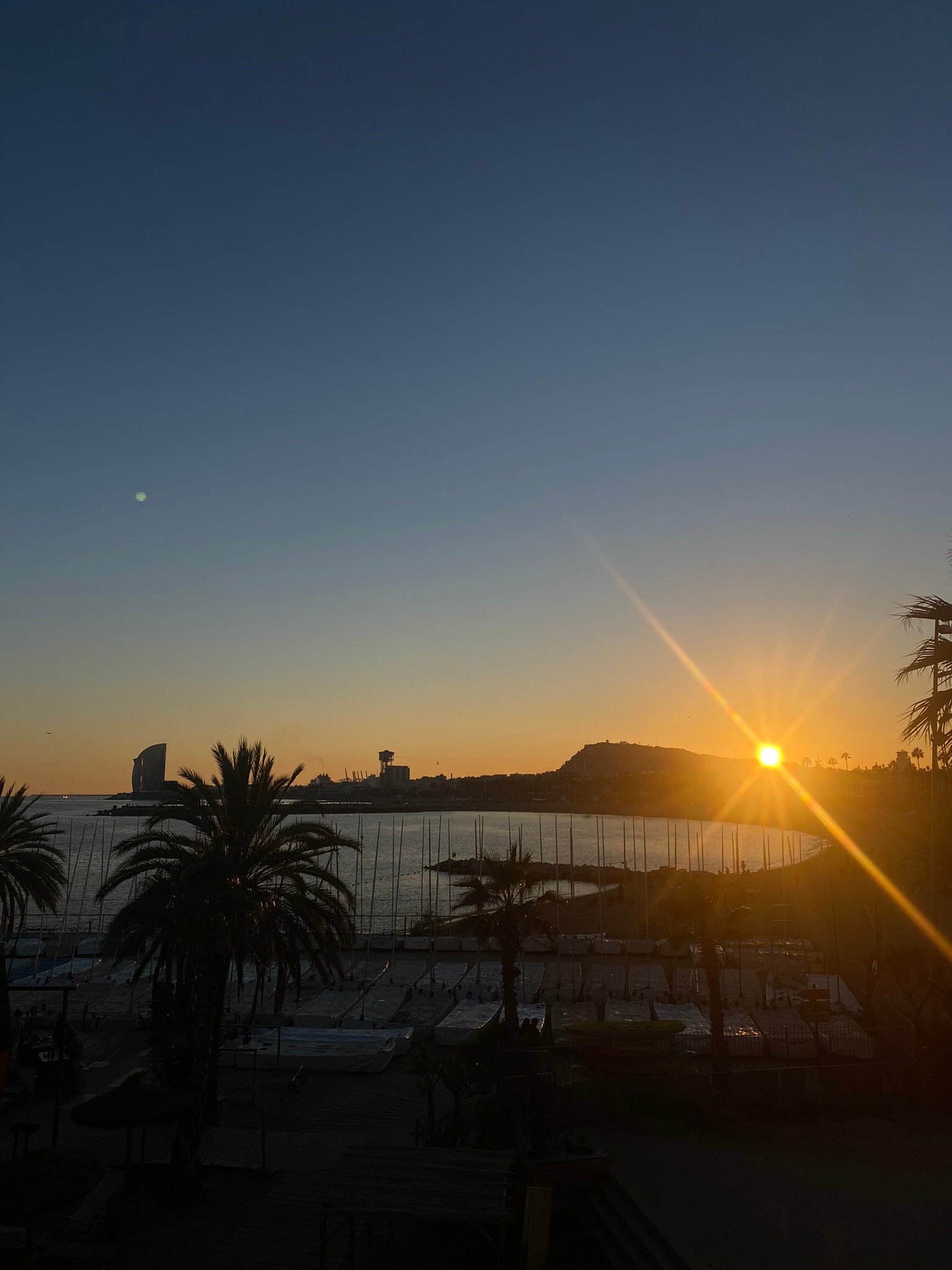 Sunrise over a calm beach and marina with silhouetted palm trees and docked sailboats.