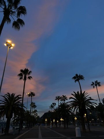 Palm trees line a wide boulevard under a pastel twilight sky, with soft streetlights beginning to glow.