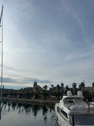 A white yacht is docked in calm harbor waters under a soft, overcast sky with city buildings and palm trees in the background.