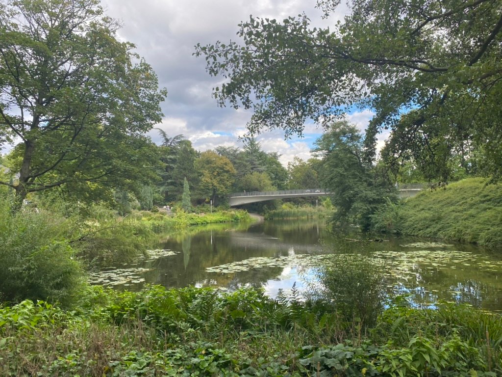 A peaceful pond surrounded by lush greenery and trees, with a modern bridge crossing in the distance under a cloudy sky