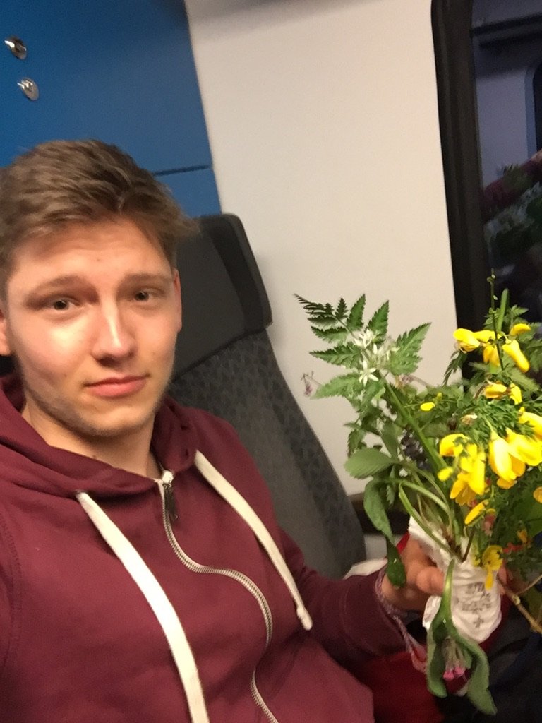 A young man in a maroon hoodie holding a small bouquet of wildflowers while sitting on a train seat